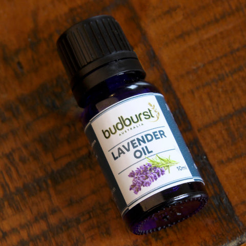 Lavender Oil