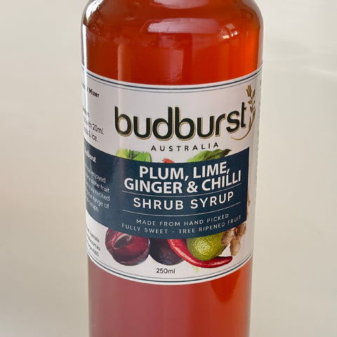 Plum, Lime, Ginger & Chilli Shrub